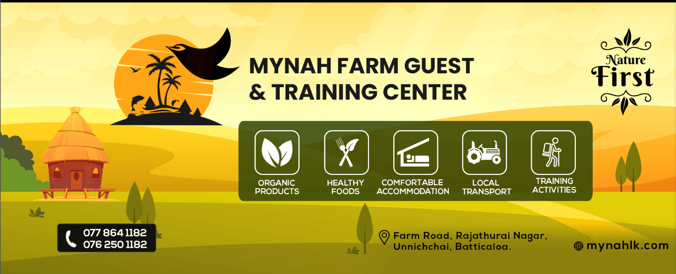 Horses grazing on the farm